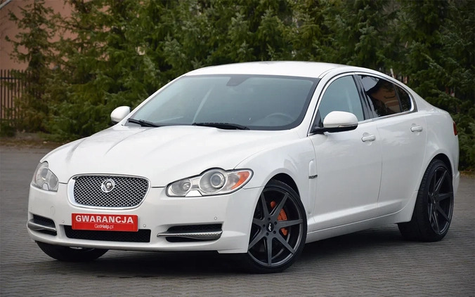 Jaguar XF cena 49900 przebieg: 219000, rok produkcji 2011 z Piwniczna-Zdrój małe 781